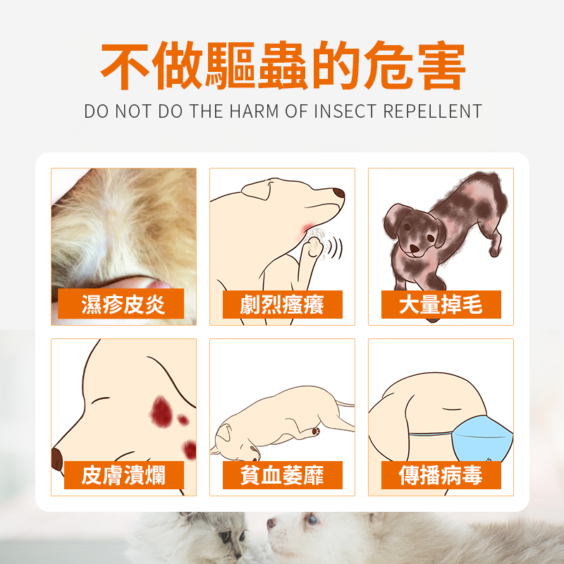 寄生蟲皮膚病治療方案