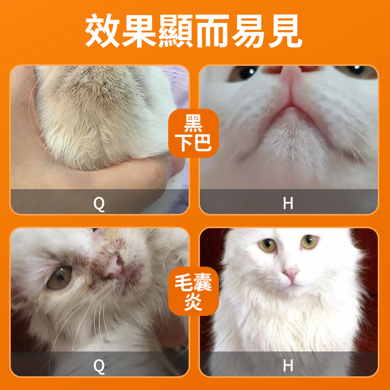 貓狗毛囊炎黑下巴治療組合