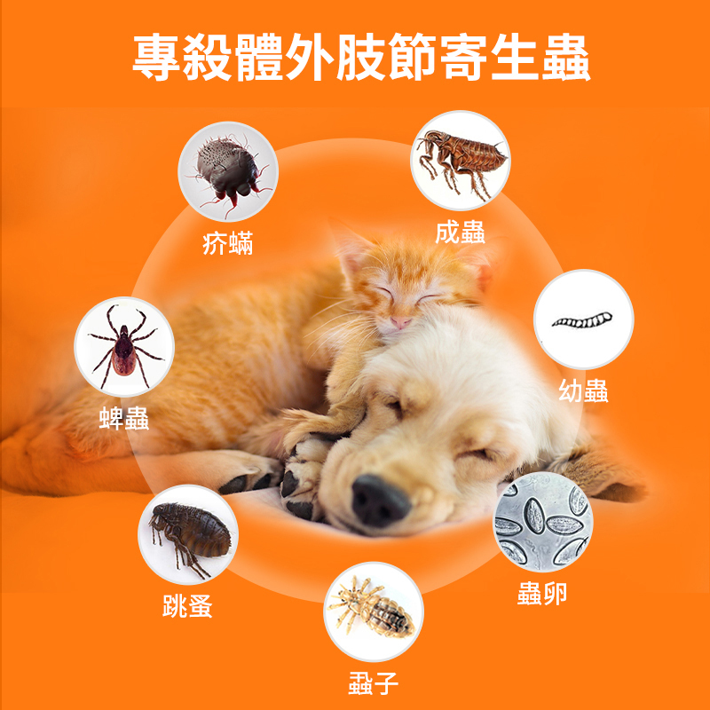 寄生蟲皮膚病治療方案