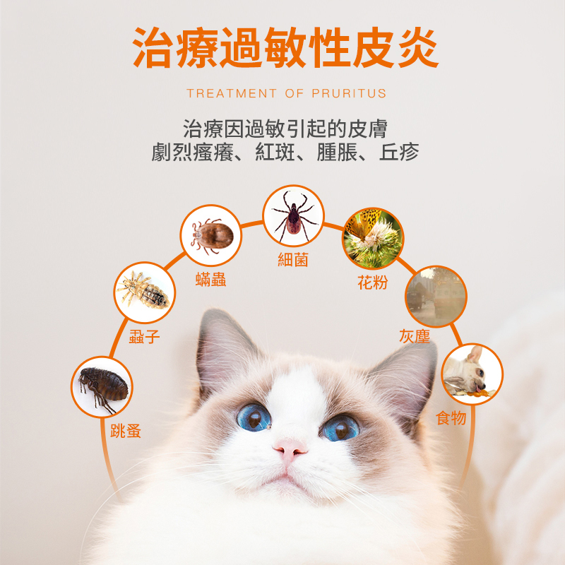貓狗皮膚瘙癢掉毛治療組合