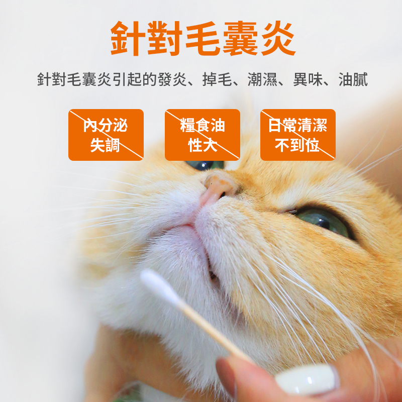 貓狗毛囊炎黑下巴治療組合