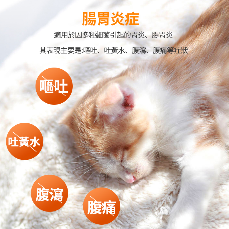 寵物頭孢消炎藥