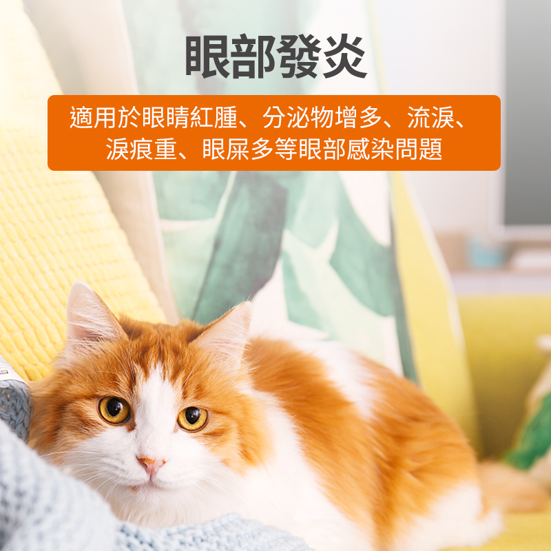 寵物頭孢消炎藥