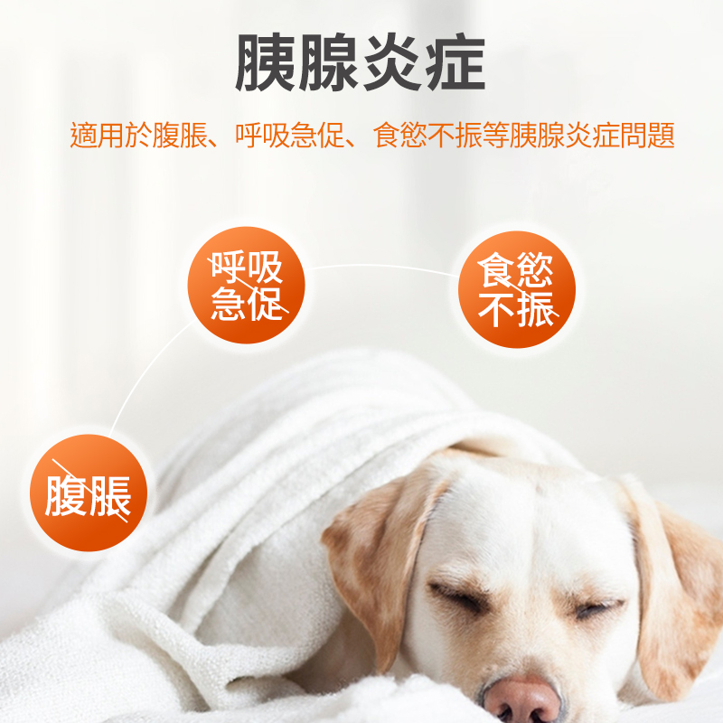 寵物頭孢消炎藥