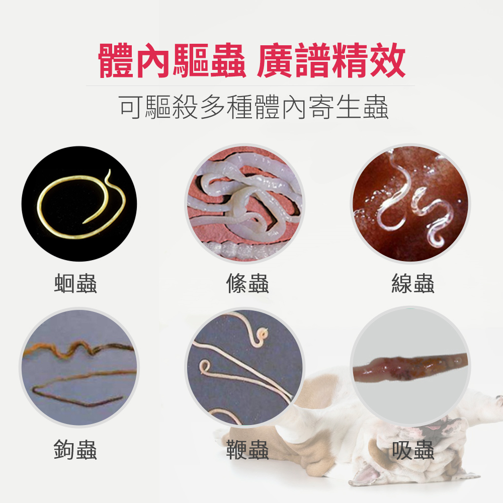 芬苯達唑-寵物體內除蟲