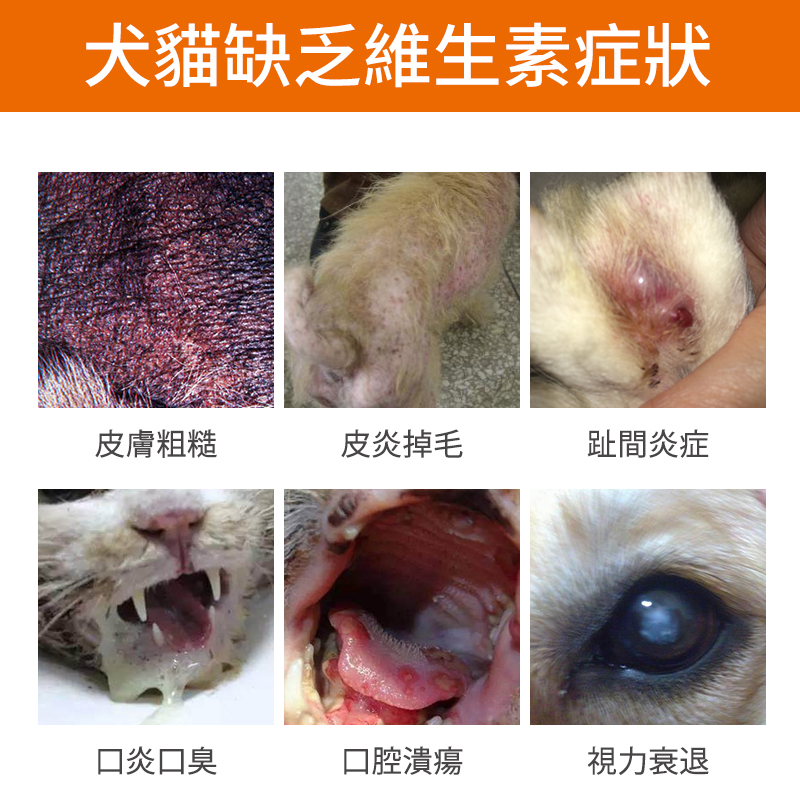 寵物維生素b溶液