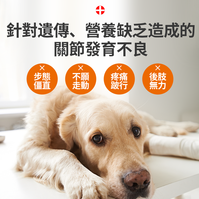 寵物關節炎舒結利