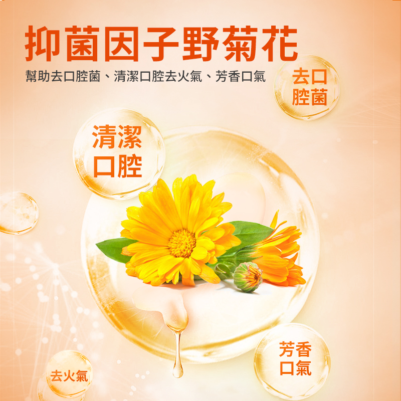 普安特犬能量骨