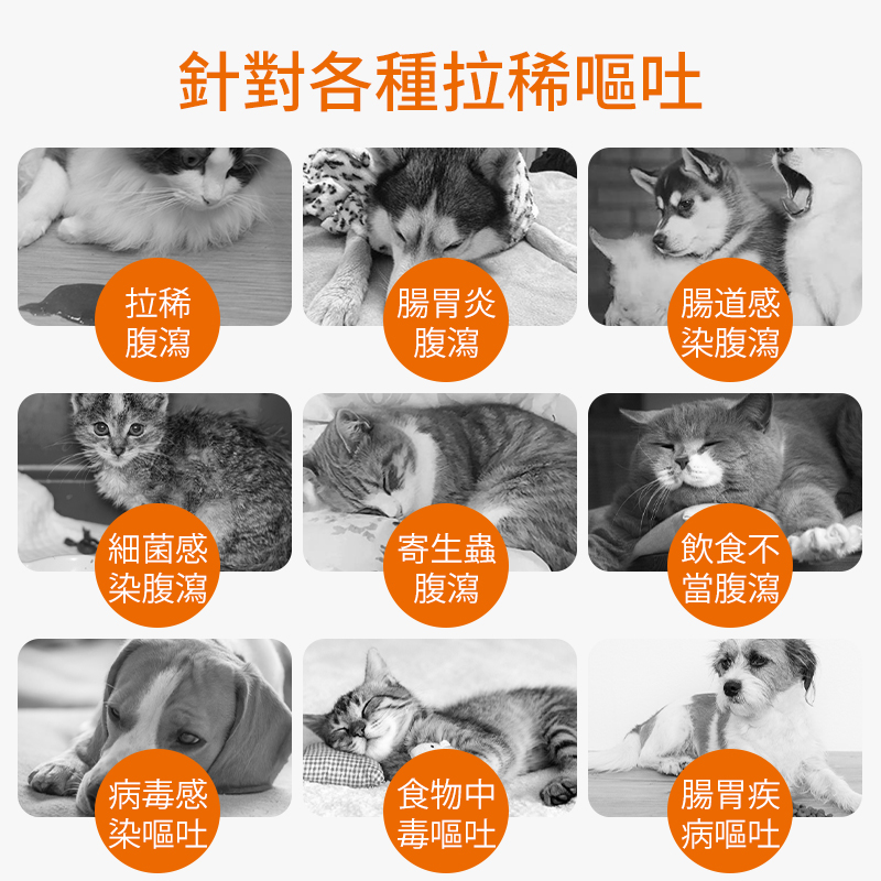 寵物腹瀉拉稀維利克止瀉