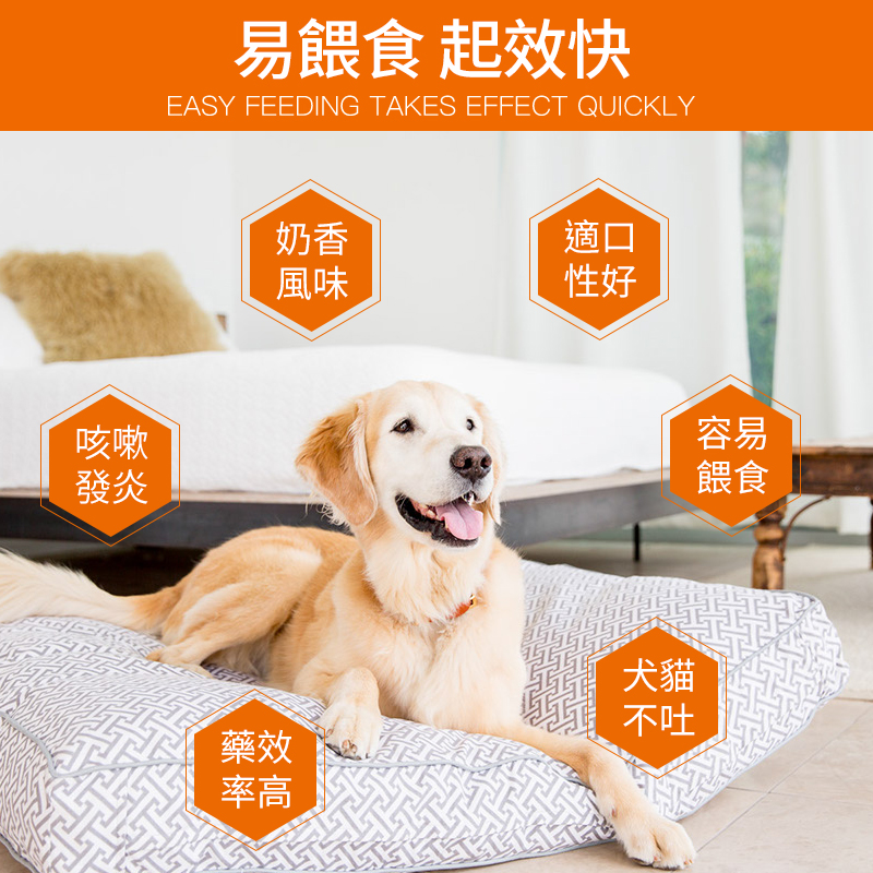 藥弗諾多-犬用感冒/咳嗽/氣喘肺炎