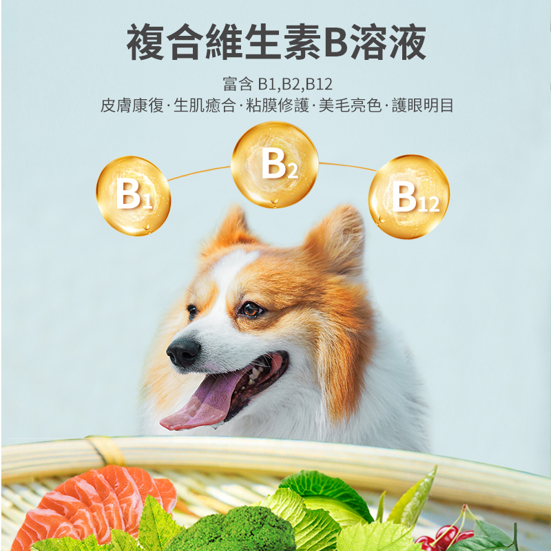 寵物維生素b溶液