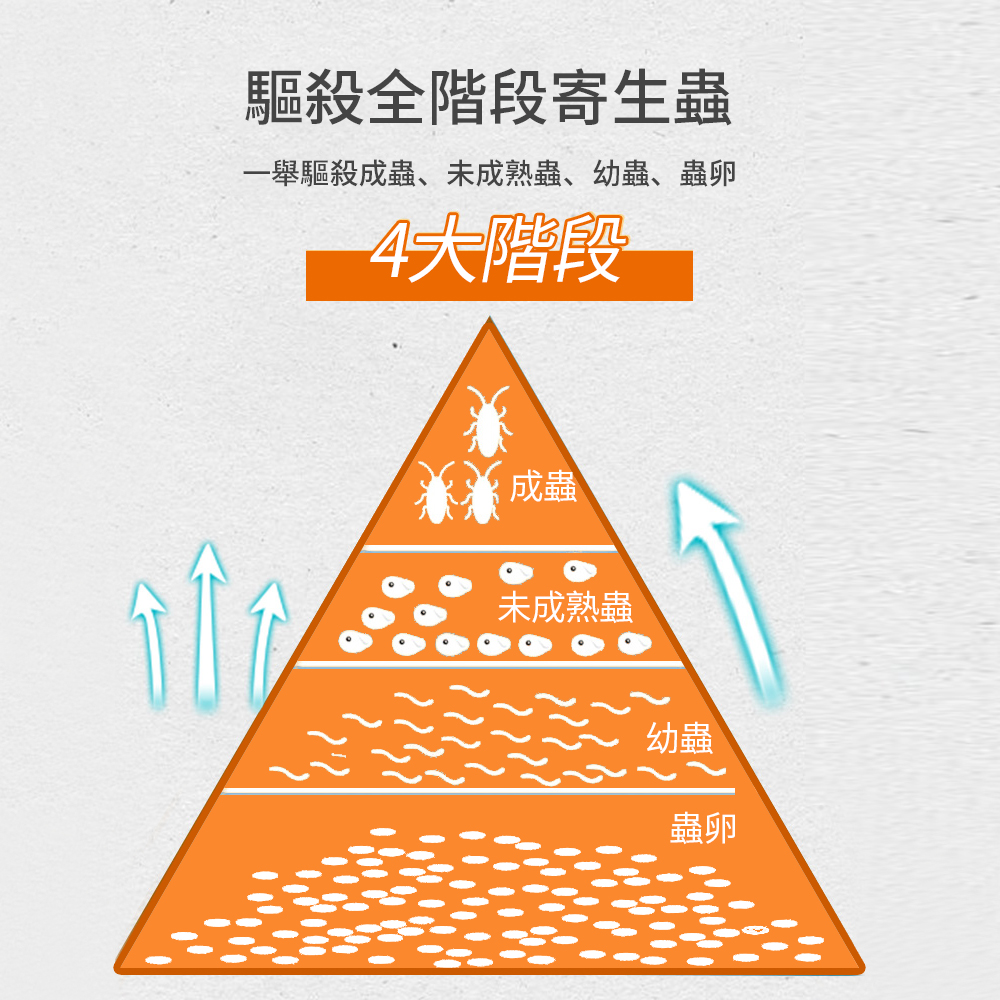 芬苯達唑-寵物體內除蟲