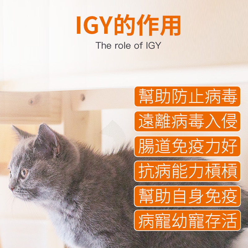寵物IGY抗特力