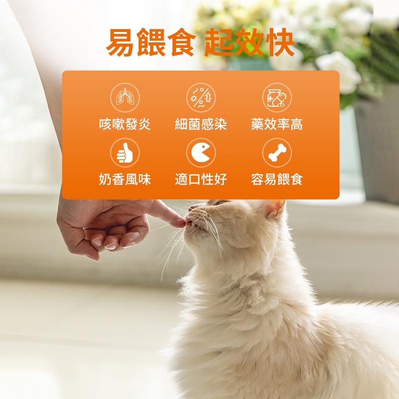 貓咪感冒藥弗諾多