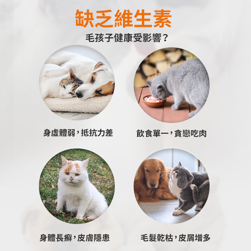 寵物復合維生素片