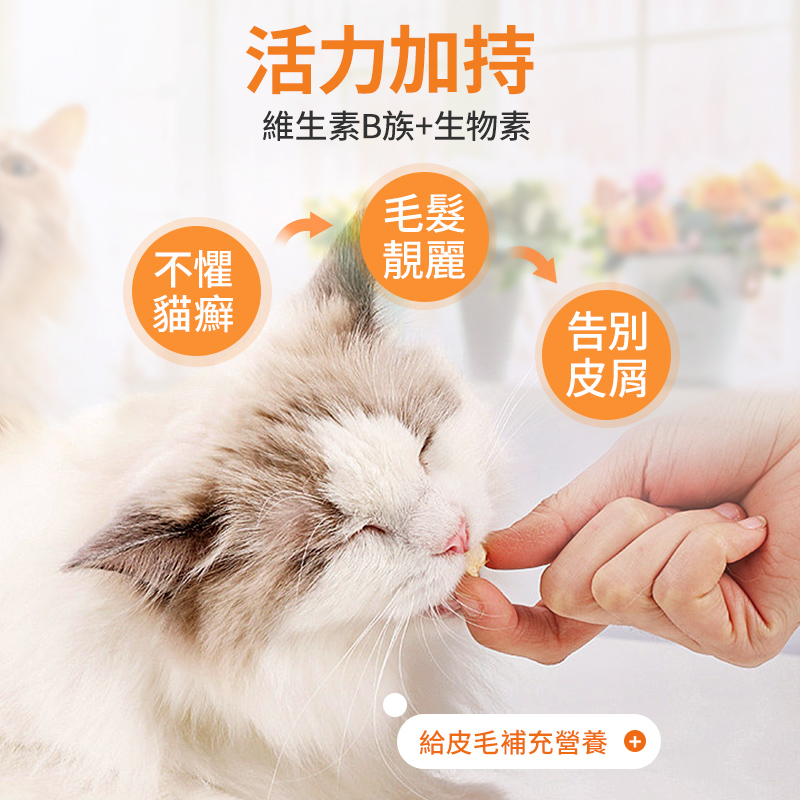 寵物復合維生素片