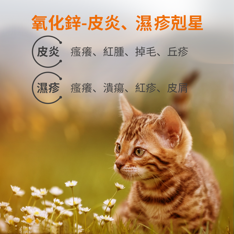 貓狗皮膚病軟膏