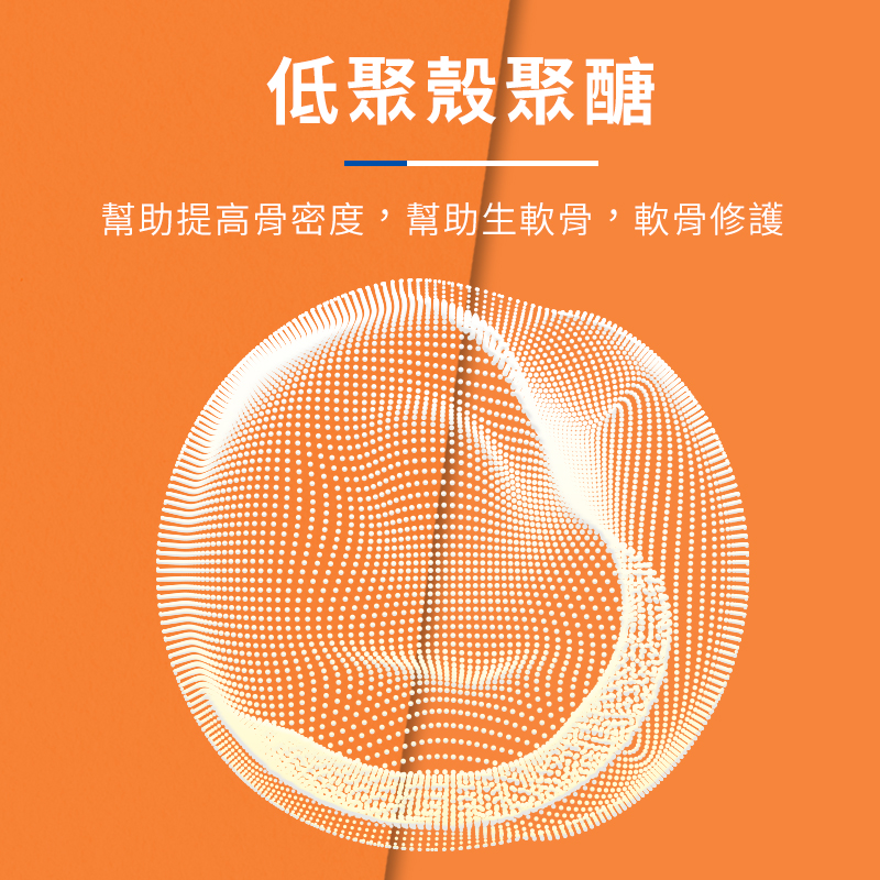 普安特力維加軟骨素