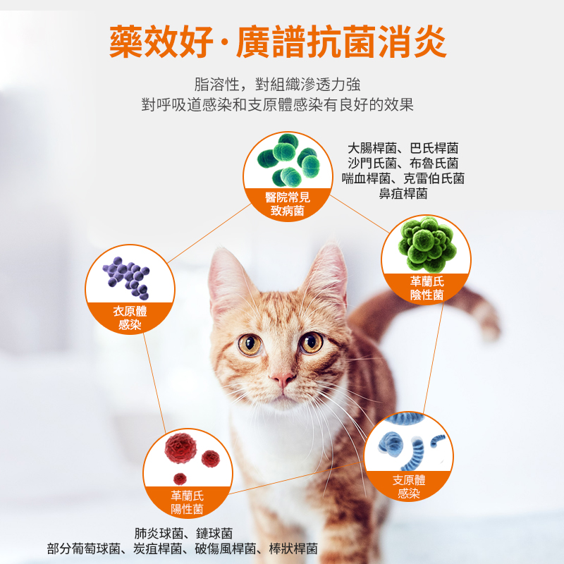 貓咪感冒藥弗諾多