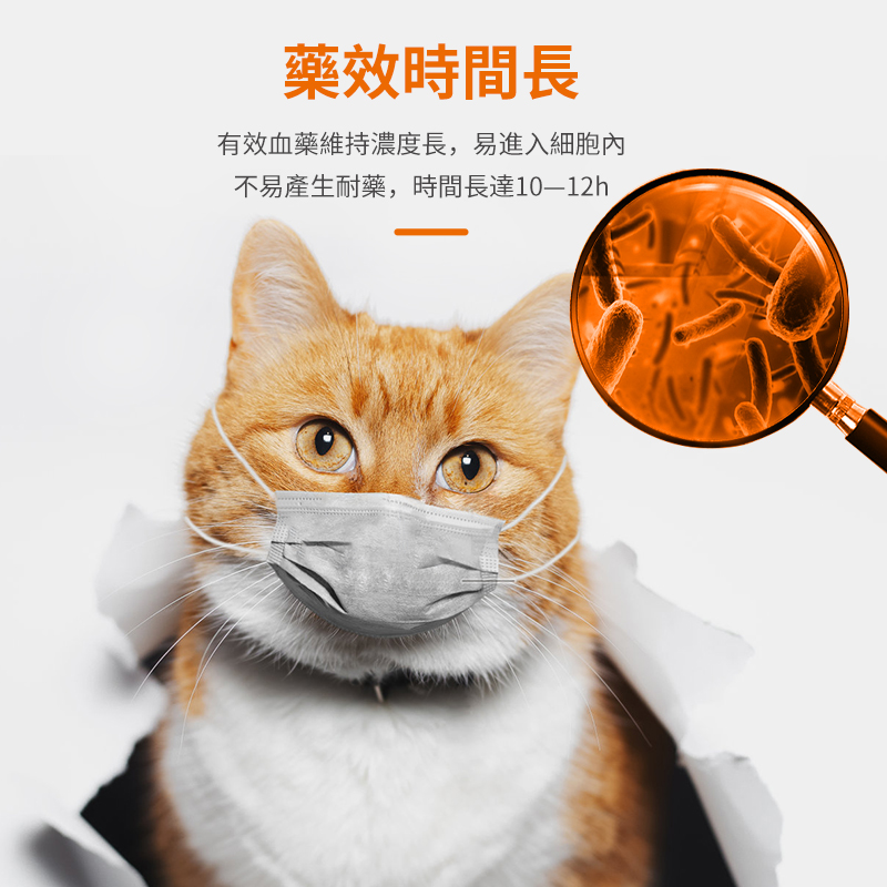 貓咪感冒藥弗諾多