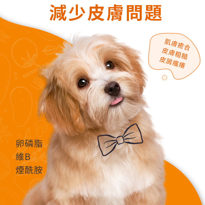 普安特犬用卵磷脂