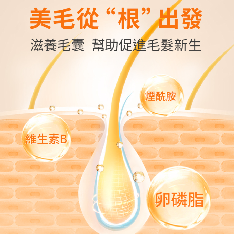 普安特貓用卵磷脂