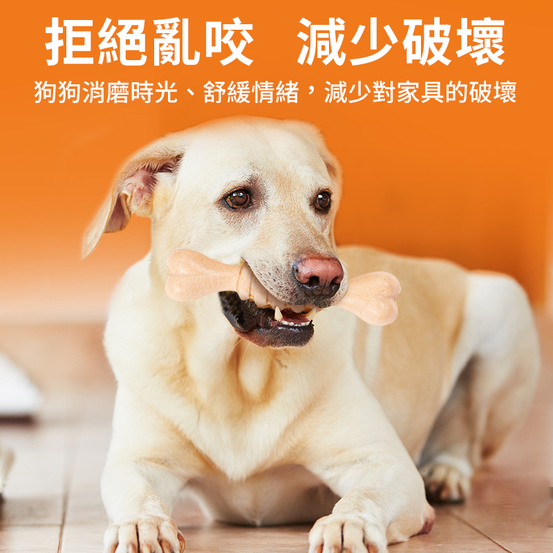 普安特犬能量骨