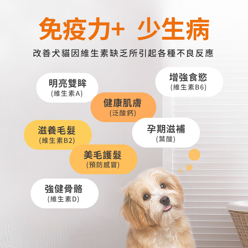 寵物復合維生素片