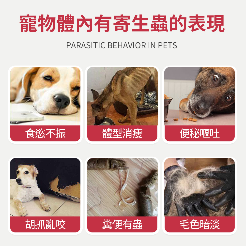 芬苯達唑-寵物體內除蟲