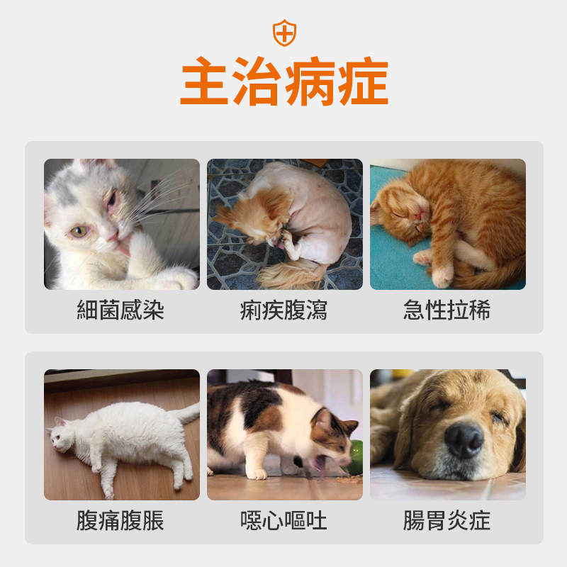 寵物腸道感染腸胃炎腹瀉達適寧