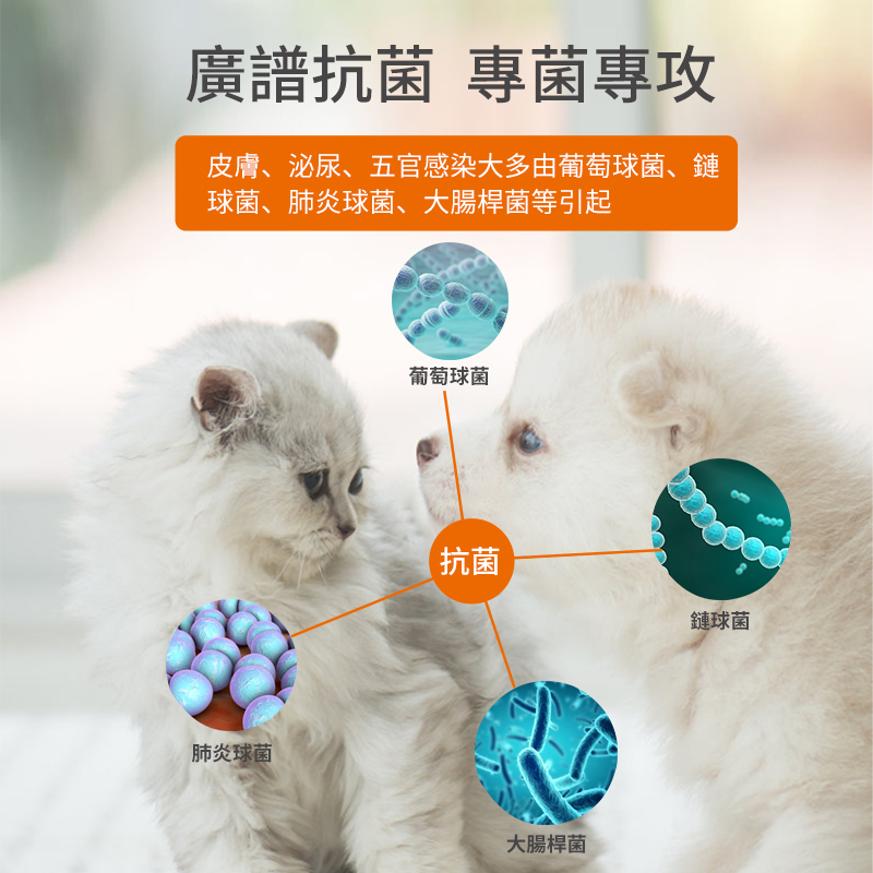 寵物頭孢消炎藥