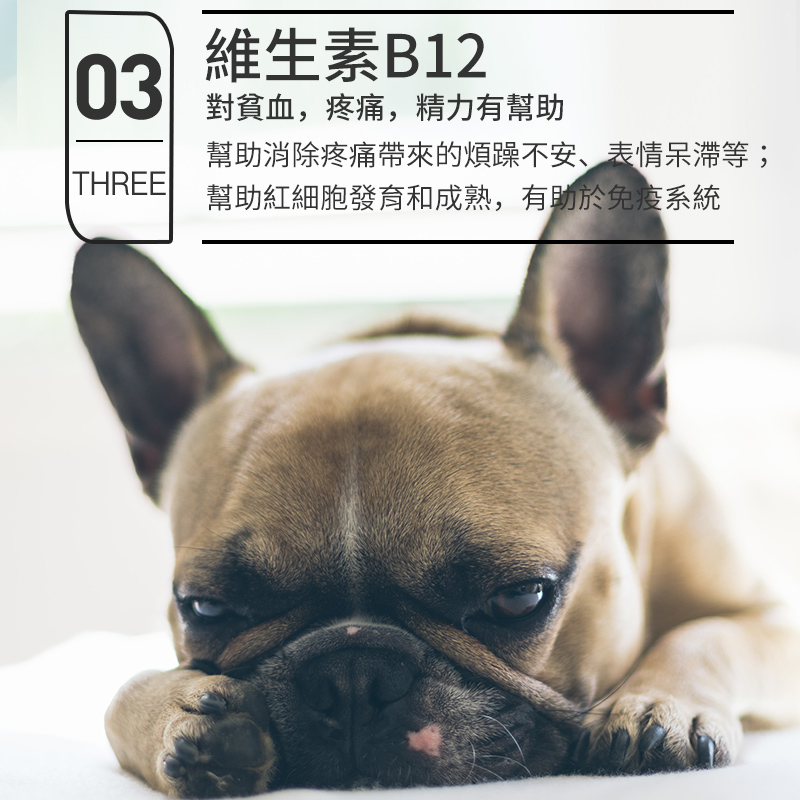 寵物維生素b溶液