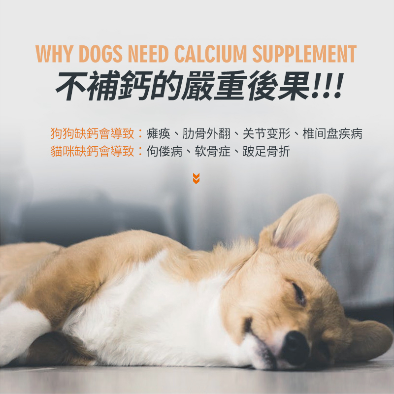 寵物高能乳鈣片