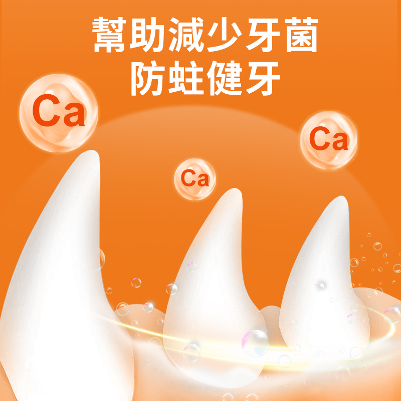 普安特犬能量骨