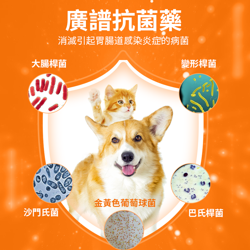 寵物腸道感染腸胃炎腹瀉達適寧