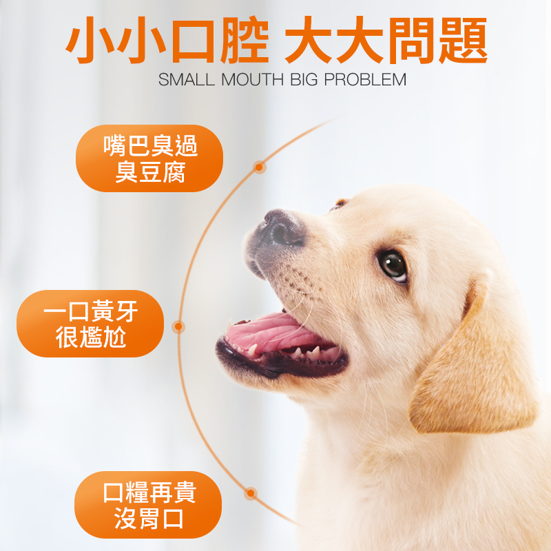 普安特犬能量骨