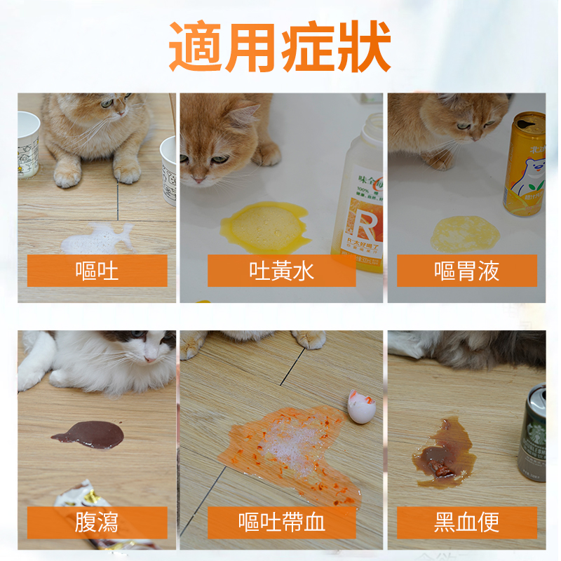 吐黃水寵物嘔吐普西丁片