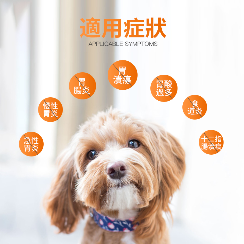 吐黃水寵物嘔吐普西丁片