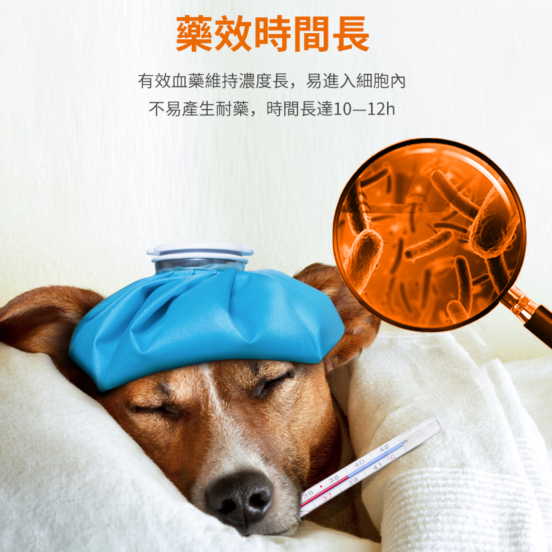 藥弗諾多-犬用感冒/咳嗽/氣喘肺炎