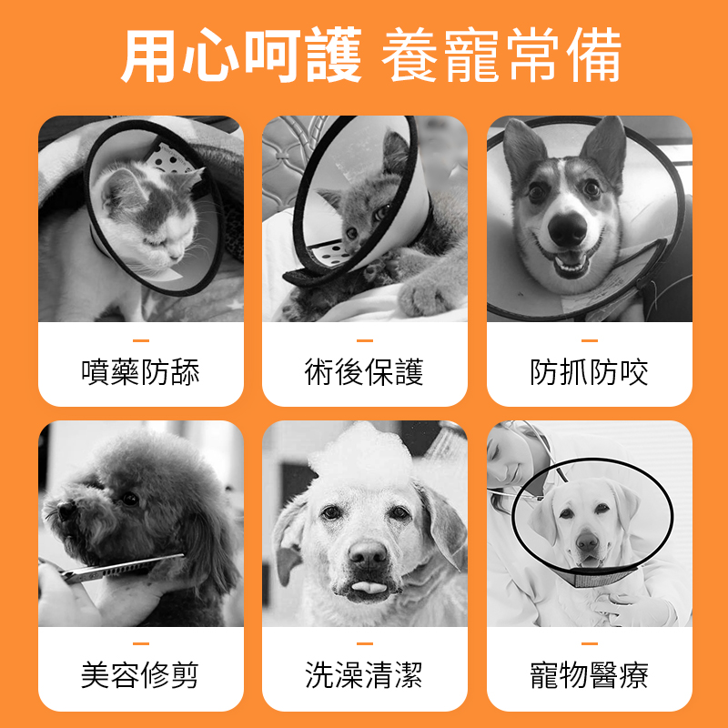 寵物防舔咬伊利沙白脖圈