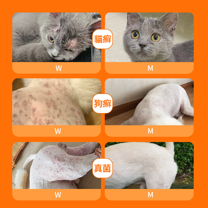 皮普特敏感皮膚噴劑