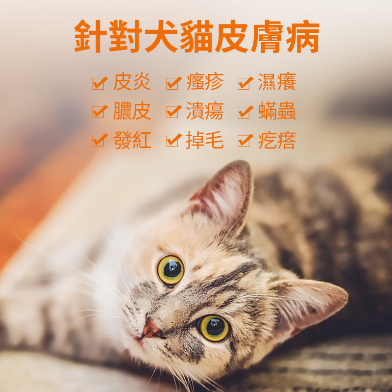 貓狗皮膚病軟膏