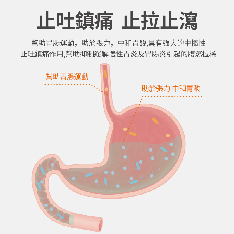 吐黃水寵物嘔吐普西丁片
