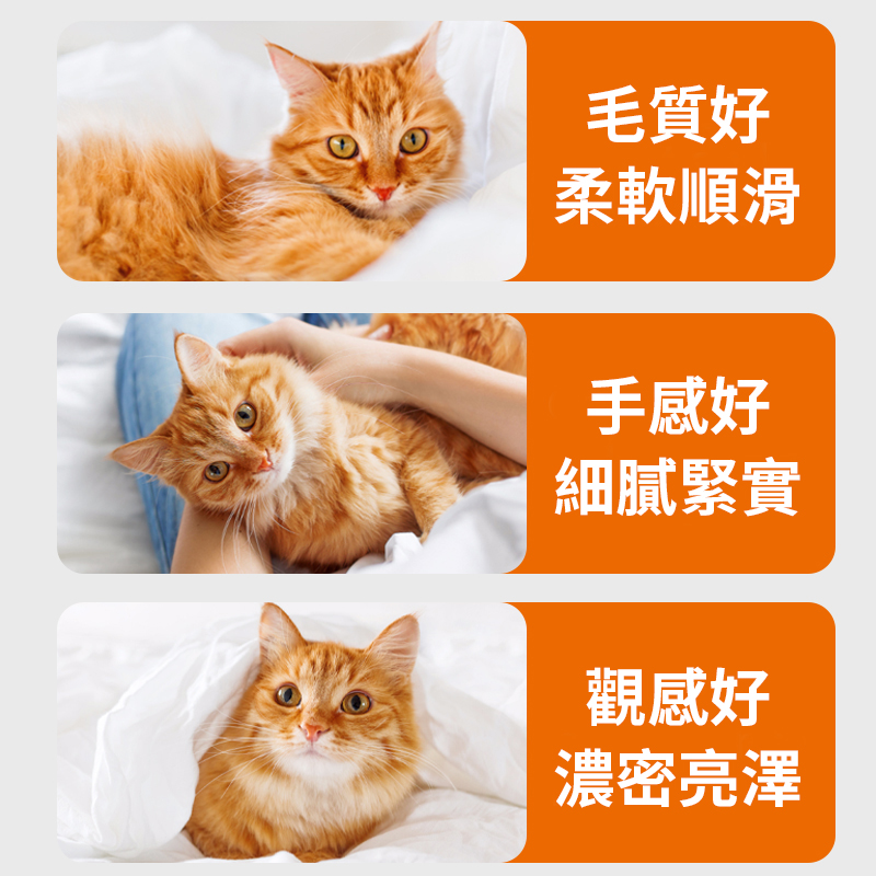 普安特貓用卵磷脂