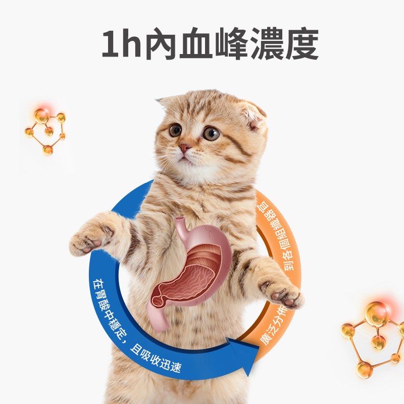 寵物頭孢消炎藥