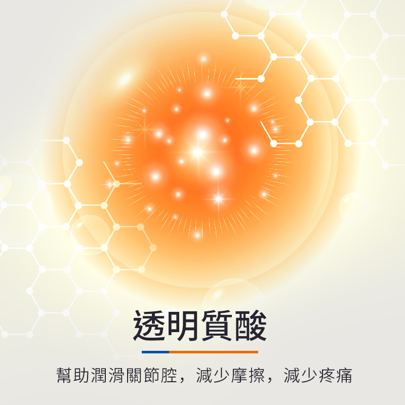 普安特力維加軟骨素