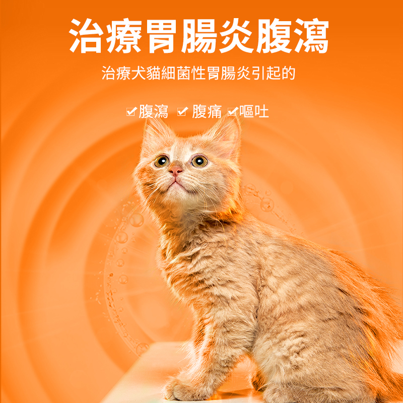 寵物腸道感染腸胃炎腹瀉達適寧