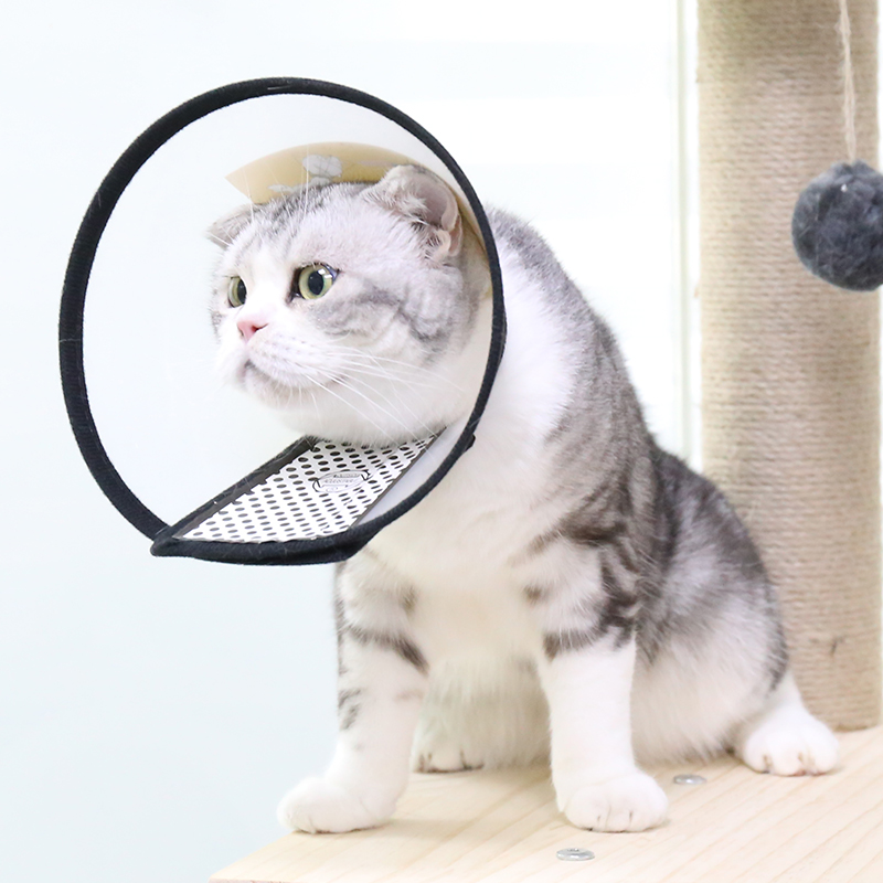 寵物防舔咬伊利沙白脖圈