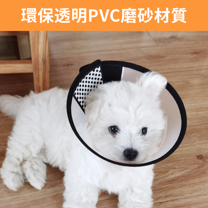 寵物防舔咬伊利沙白脖圈