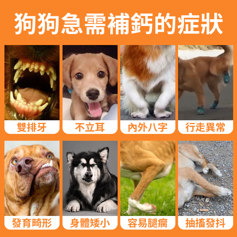 寵物高能乳鈣片